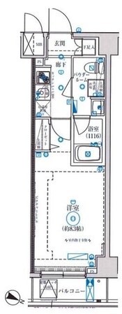 パティーナ東武練馬の物件間取画像